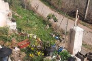 ویلا جنگلی دوخواب مبله در شفت