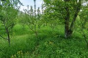 باغ ویلا سرسبز حبیبی در کلیبر