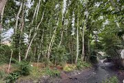 آپارتمان مبله دوخواب جنگلی السای در طرقبه