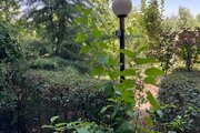 ویلا تک خواب در کردان