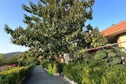 اجاره ویلا دربست دوخواب در سوادکوه
