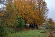 کلبه ی چوبی جنگلی محیا در لاهیجان