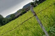 واحد تکخواب در طبقه دوم ویلای تالش