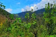 کلبه دوبلکس دوخواب مبله در شیرگاه