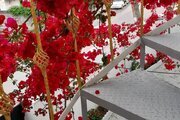 واحد تکخواب در طبقه دوم ویلا ساحلی حسینی در چالوس