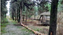 ویلا ساحلی استخردار در باغ اختصاصی رامسر