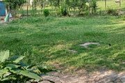 ویلا تکخواب مبله سنتی در ماسال