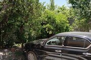 ویلا مبله تکخواب ملوری در چالوس
