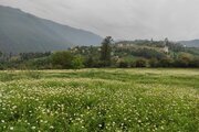 آپارتمان مبله تک خواب افراتخته در علی آباد