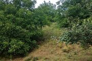 سوئیت روستایی ترنج در طبقه همکف ویلا رودبار