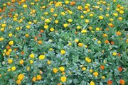 واحد طبقه دوم سپهر در ماسال