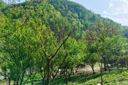 کلبه چوبی دوخواب مبله در اسالم