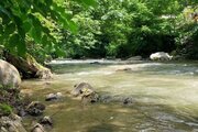 واحد در طبقه دوم ویلای لب رودخونه دردل جنگل اسالم