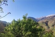 کلبه سوئیسی دوبلکس تک خواب ارغوان در لردگان