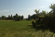 سوئیت مبله 50 متری در رشت