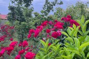 ویلا دوبلکس دوخواب ساحلی در بندرانزلی