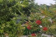 کلبه سوئیسی جکوزی دار تک خواب پارادایس در رامسر