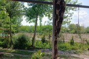 سوئیت ویلا باغ علیدوست در رشت