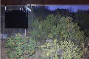 کلبه جنگلی دوبلکس تکخواب سرچشمه در رامسر