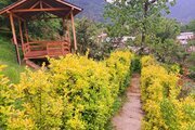 کلبه چوبی دو خواب دوبلکس در ماسال