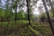 کلبه جنگی ییلاقی در ماسال