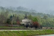 کلبه سوئیسی دوبلکس دوخواب ویجان در چمستان (1)