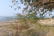 سوئیت مبله ساحلی در کتالم و سادات شهر