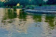 باغ ویلا تکخواب مبله 1 انار در منجیل