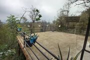 ویلا تکخواب مبله جنگلی مانی در بابل