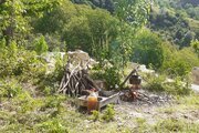 ویلا دو خواب ریحون گلستان در علی آباد