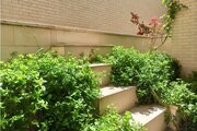 آپارتمان مبله دو خواب باران 2 در یزد