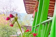 کلبه دوطبقه جنگلی پارسا در تالش