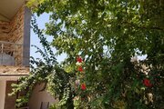خانه ویلایی دوبلکس باران در آمل