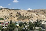 آپارتمان مبله تکخواب دروازه قرآن در شیراز