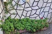 ویلا تکخواب روار در صومعه سرا