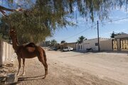 سوئیت 18 متری در پارسیان