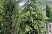 ویلا مبله تک خواب در ملارد