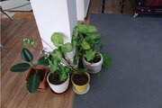 خانه ویلایی دو خواب مبله در مشگین