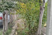 ویلا تک خواب در دیلمان