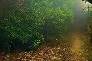 ویلای گیل آوا در رشت