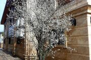 خانه ویلایی دوبلکس استخردار در تنکابن