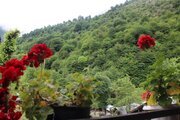 ویلا مبله جنگلی دو خواب شالماکوه در ماسال