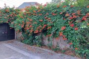 ویلایی دوخواب در لاهیجان رو به شیطان کوه