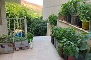 آپارتمان مبله 2 خواب در الموت
