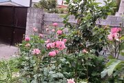 واحد در طبقه همکف ویلا سرای آرامش نوشهر