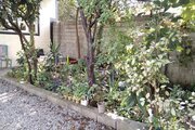 واحد تکخواب در طبقه همکف ویلای قائم شهر