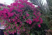 واحد در طبقه همکف ویلا آراد نزدیک به دریا در تنکابن