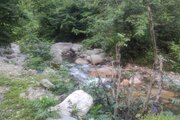 ویلا دوبلکس جنگلی کوهستانی تکخواب در فومن