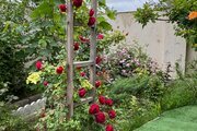 ویلا تکخواب مبله در درگز
