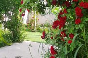 ویلا تکخواب مبله در درگز